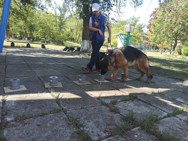 11.09.trening nouswork 4.jpg